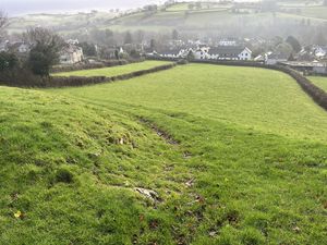 Photo 7- click for photo gallery